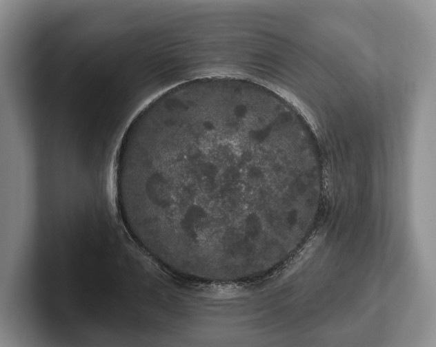 X0000102460983200808151404