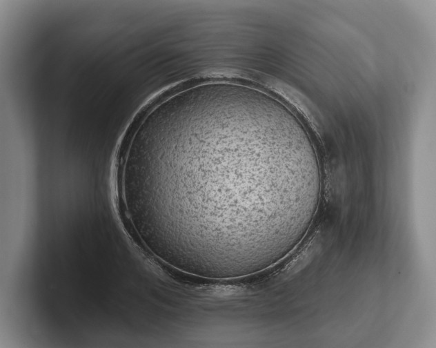 X0000102460984200808151404