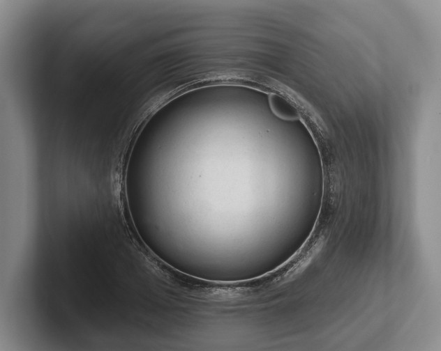 X0000102460985200808151404