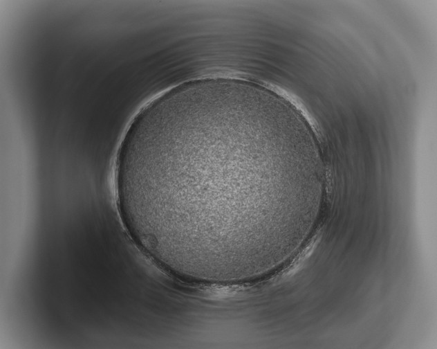 X0000102460987200808151404