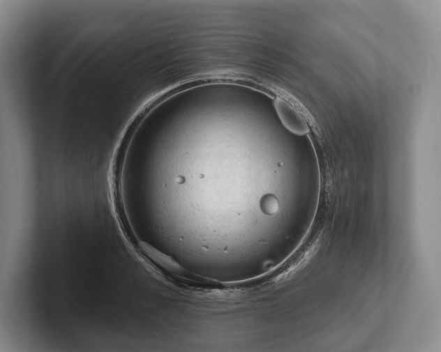 X0000102460989200808151404