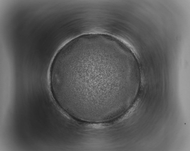 X0000102460990200808151404