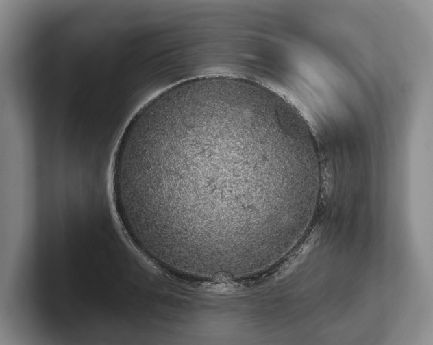 X0000102460991200808151404