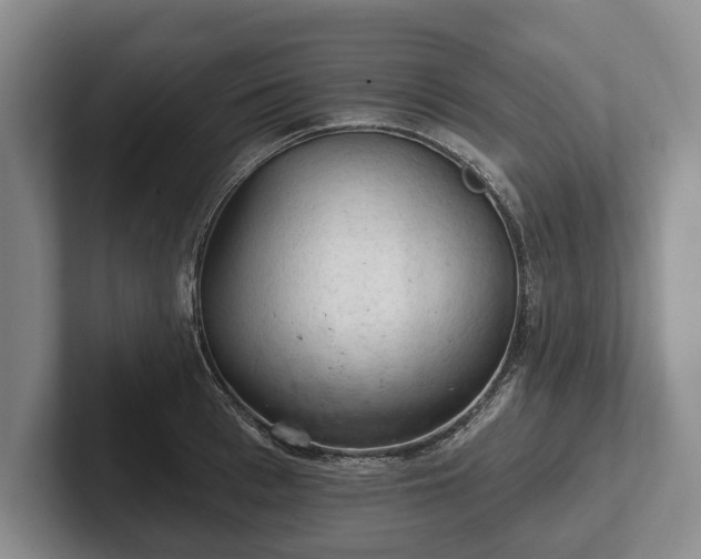 X0000102460993200808151404