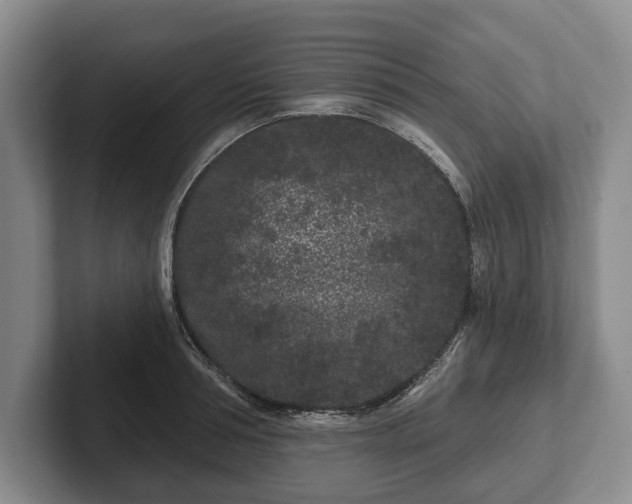 X0000102460994200808151404