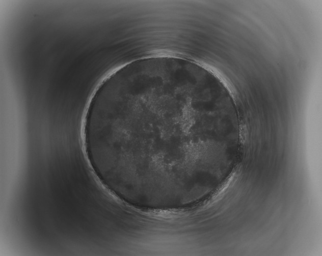 X0000102460995200808151404