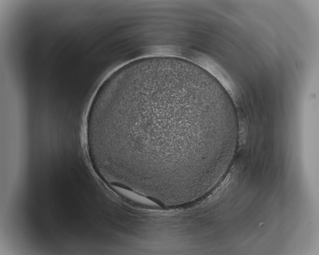 X0000102460996200808151404