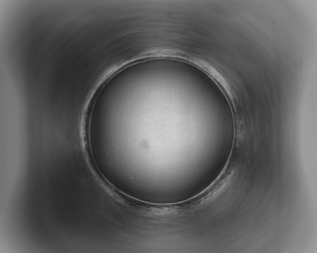 X0000102460997200808151403