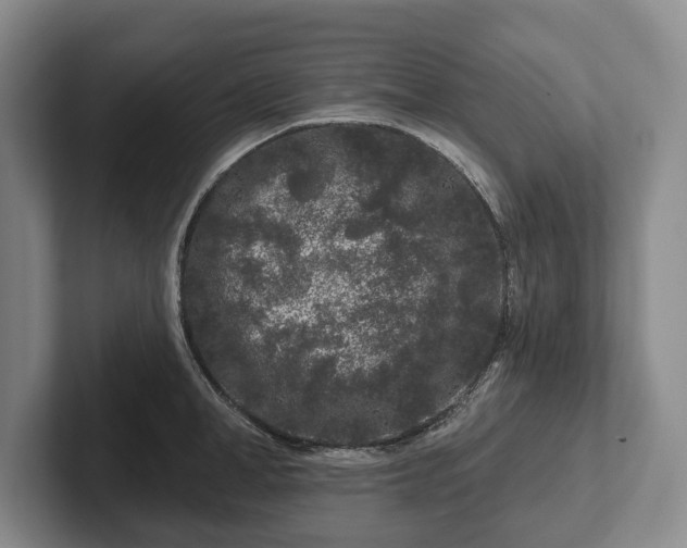 X0000102460998200808151403