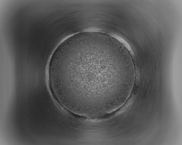 X0000102461000200808151403