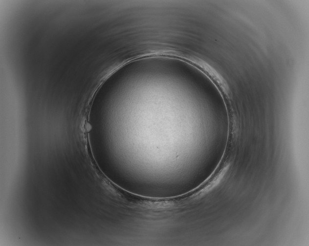 X0000102461001200808151403