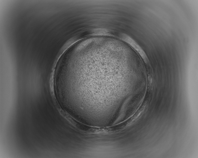 X0000102461002200808151403