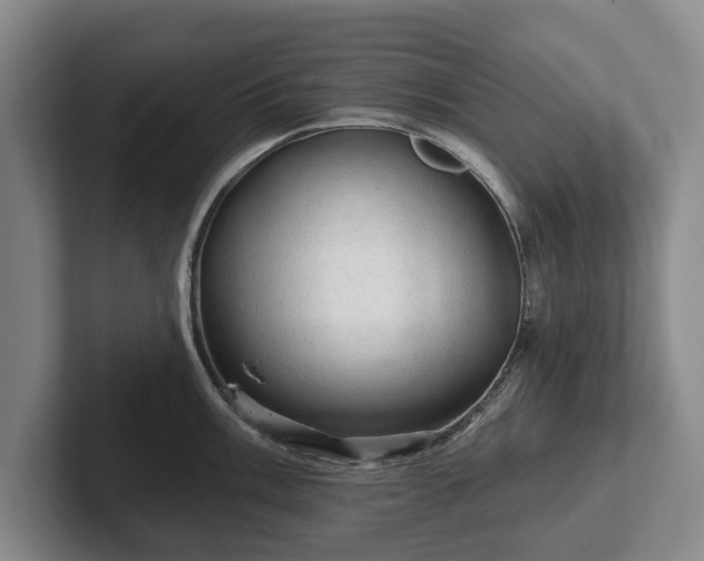 X0000102461003200808151403