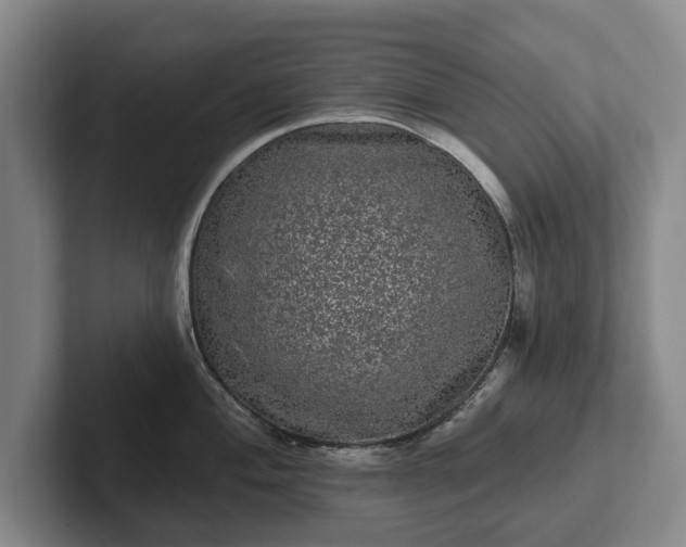 X0000102461004200808151403