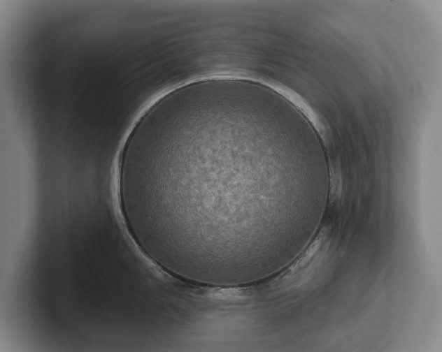 X0000102461006200808151403