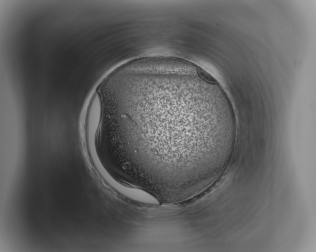 X0000102461008200808151403