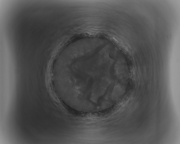 X0000102461009200808151403