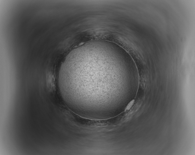 X0000102461010200808151403