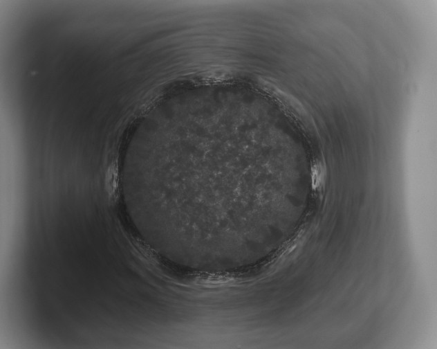 X0000102461011200808151403