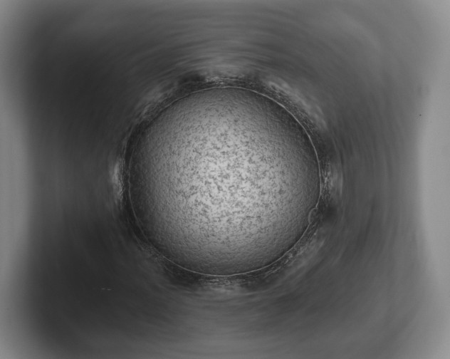 X0000102461012200808151403