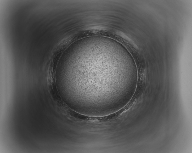 X0000102461014200808151403