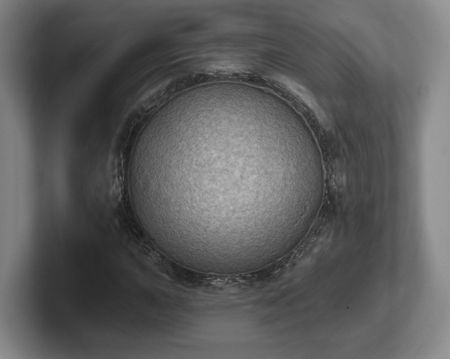 X0000102461015200808151403