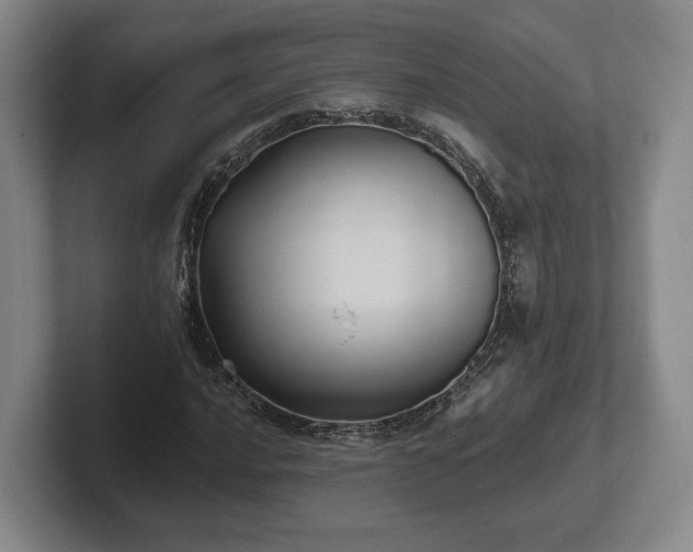 X0000102461016200808151403