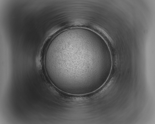 X0000102461018200808151403