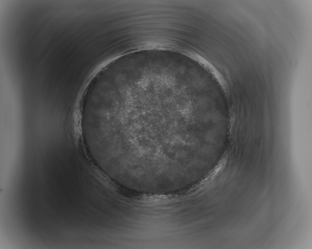 X0000102461019200808151403