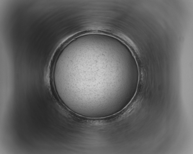 X0000102461020200808151403