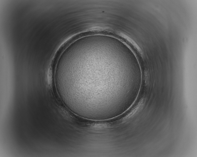 X0000102461021200808151403