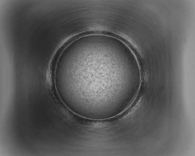 X0000102461022200808151403