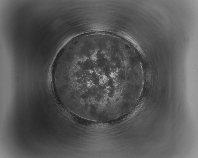 X0000102461023200808151403