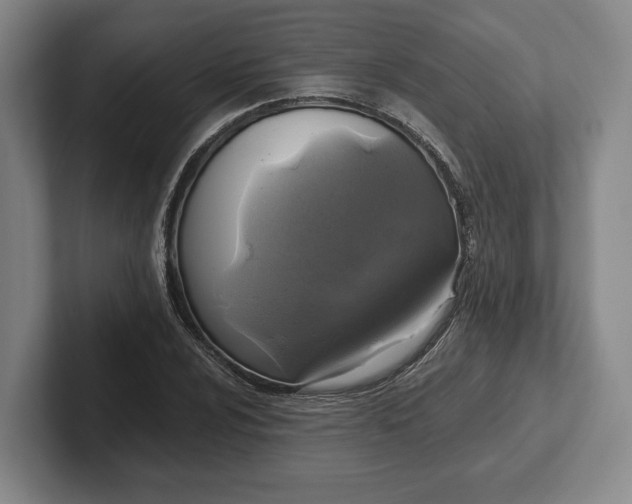 X0000102461024200808151403