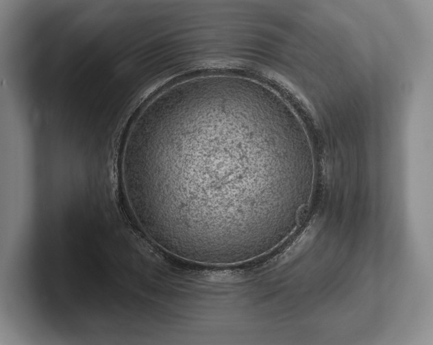 X0000102461025200808151403