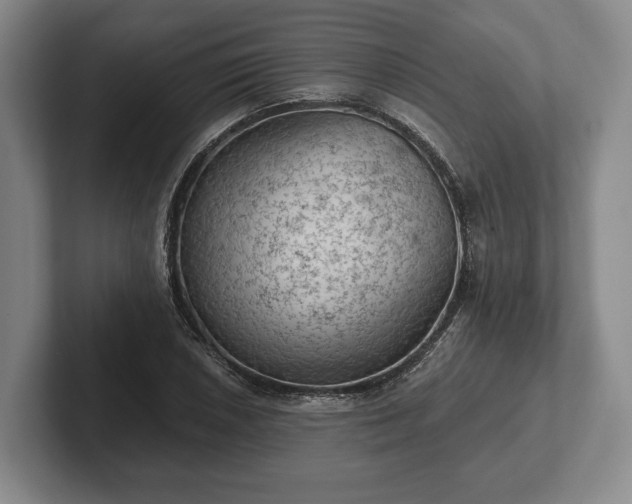 X0000102461026200808151403