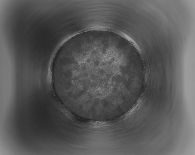 X0000102461027200808151403