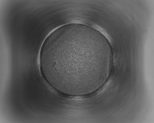 X0000102461028200808151403