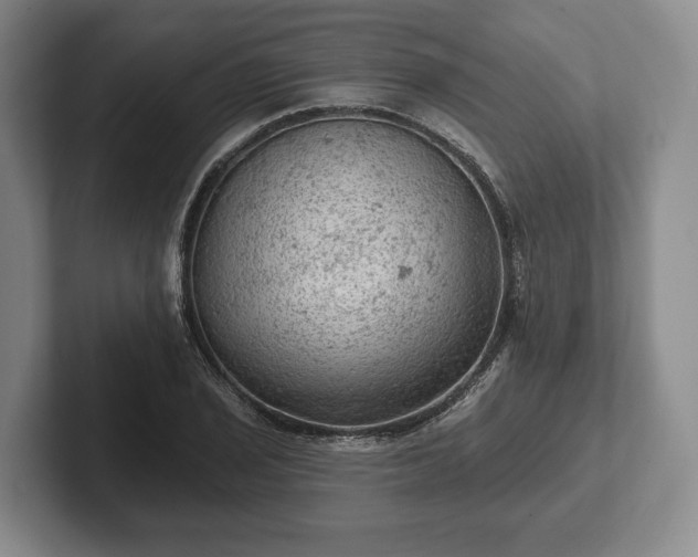 X0000102461029200808151403