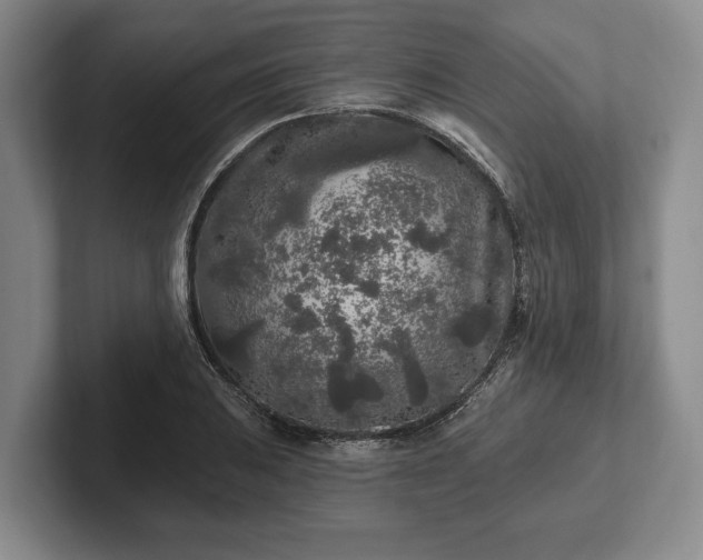 X0000102461031200808151403