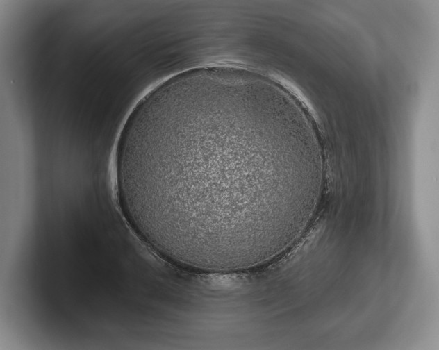 X0000102461032200808151403