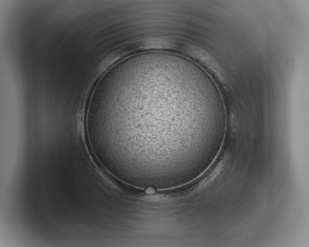 X0000102461033200808151403