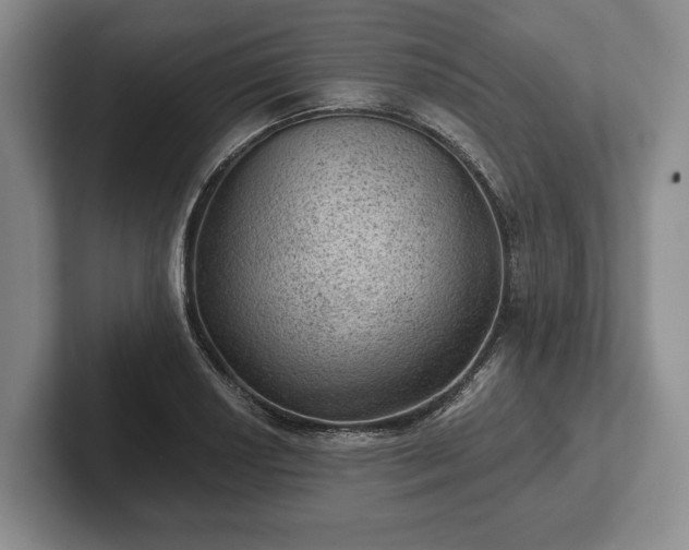 X0000102461034200808151403