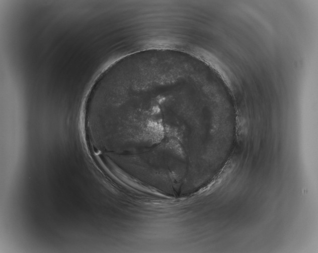 X0000102461035200808151403