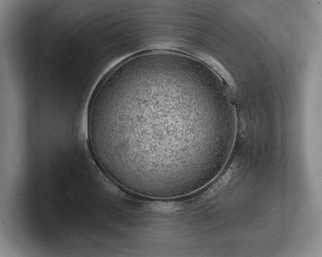 X0000102461036200808151403