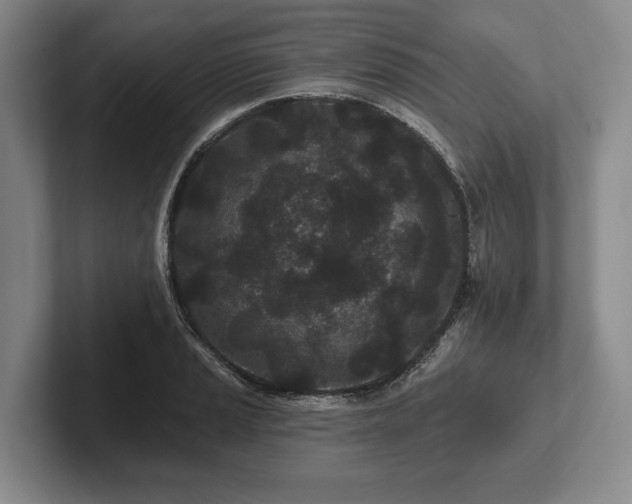 X0000102461037200808151403