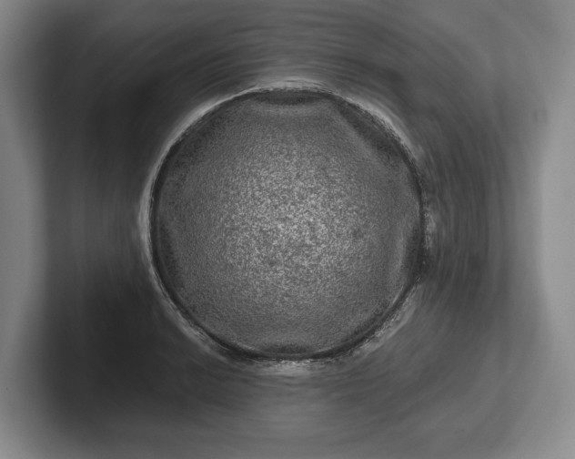 X0000102461038200808151403