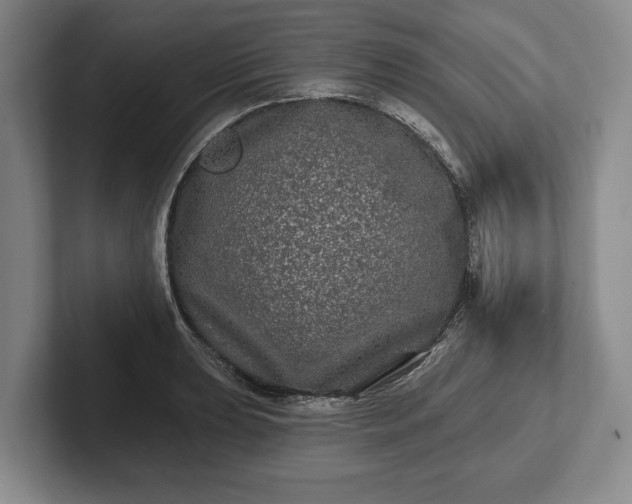 X0000102461039200808151403