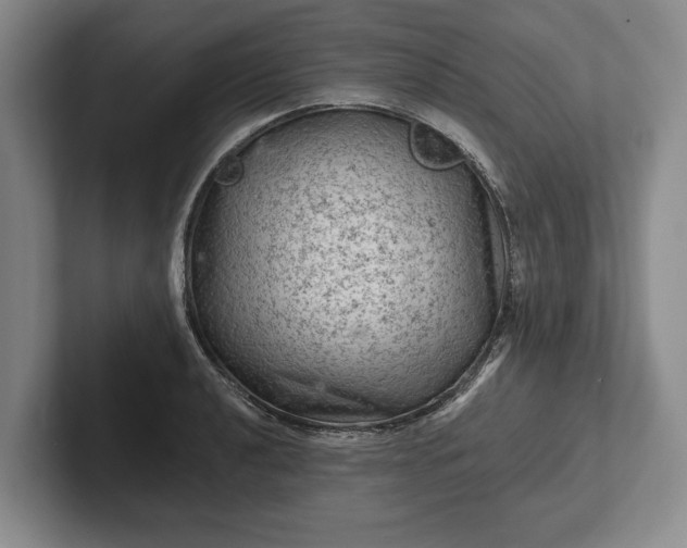 X0000102461040200808151403