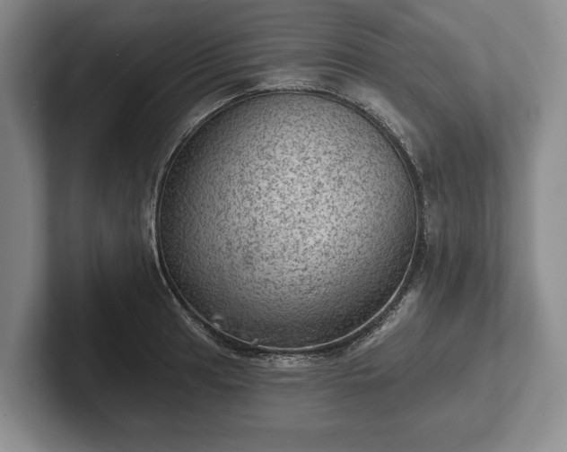 X0000102461041200808151403